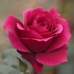 IMG_5813